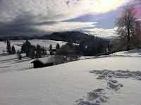 ip 4 px 012.JPG Photo