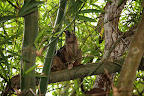 DSC_5802.jpg
