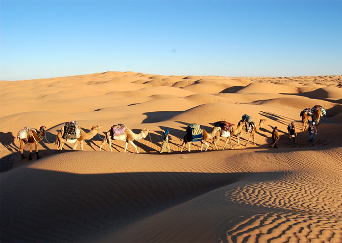 caravan%20%2815%29 Caravan in the Desert 