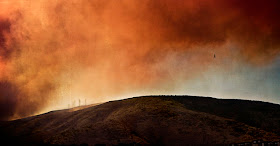 Photography by Cole Rise from the fire Photography by Cole Rise