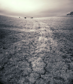 Photography by Cole Rise mission path Photography by Cole Rise