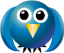 bird-blue