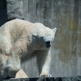 IMG_8443.jpg