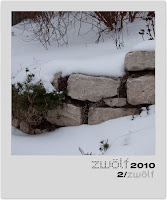 zwoelf2010-Februar_g.jpg