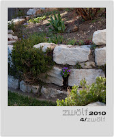4-zwoelf2010-polaroid.jpg