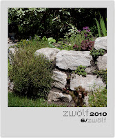 6-zwoelf2010-polaroid.jpg