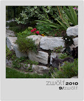 9-zwoelf2010-polaroid.jpg