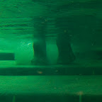 IMG_8744.jpg
