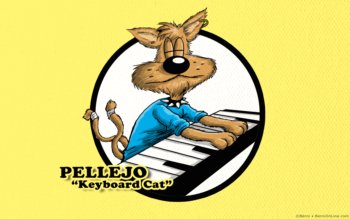 wallpaper pellejo