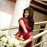 Katrina Kaif at Lux Campaign - 006.jpg