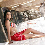 tashu kaushik in wet bikini stunning pics 001.jpg
