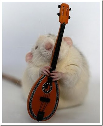 awesome and cool musical mouse11