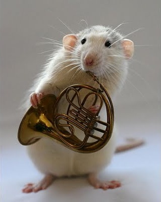 [awesome and cool musical mouse2[7].jpg]