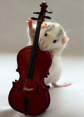 [awesome and cool musical mouse3[14].jpg]