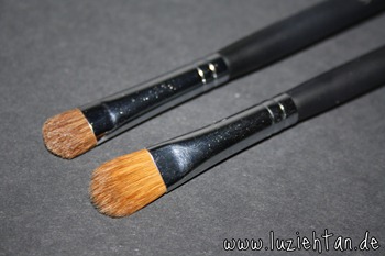 shadowbrush