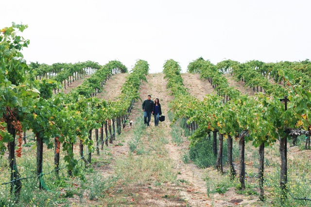 Paso Robles Engagement Shoot