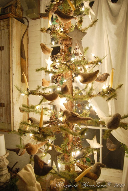 [tree-in-bedroom12.jpg]
