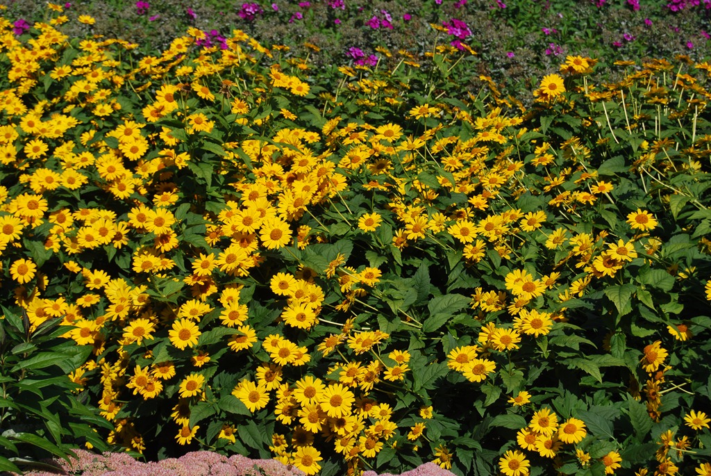 [Plant Group _344open house.jpg]