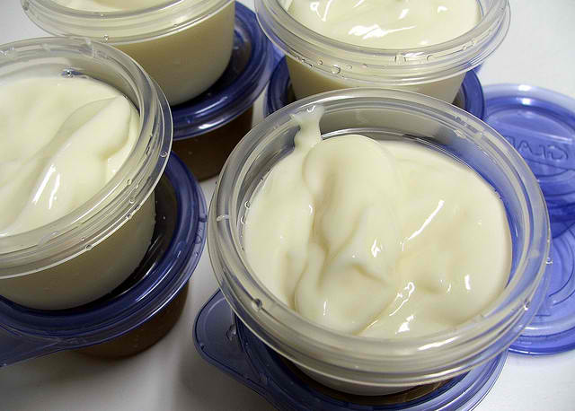 Homemade Yogurt Recipe