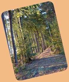 L1010575 L1010575