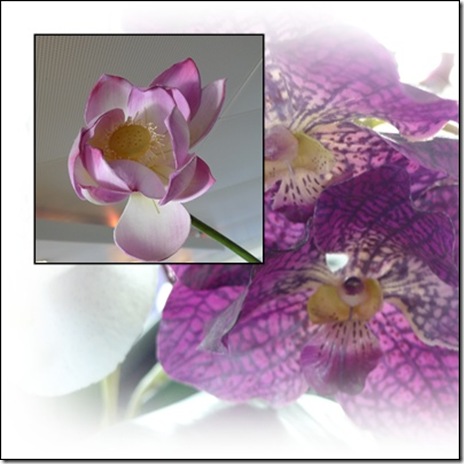 orchid layer