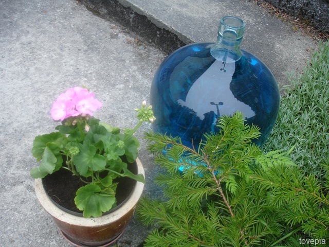 [DSC054124.jpg]