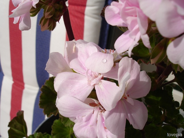 [DSC059914.jpg]