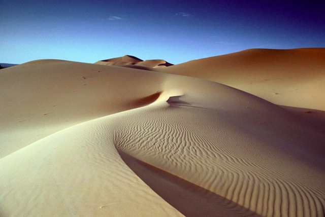 [Desert[5].jpg]