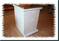 new hive