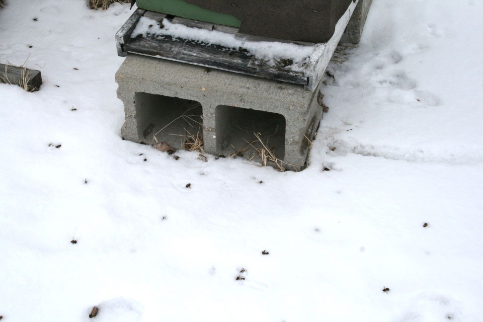 [snow2.jpg]