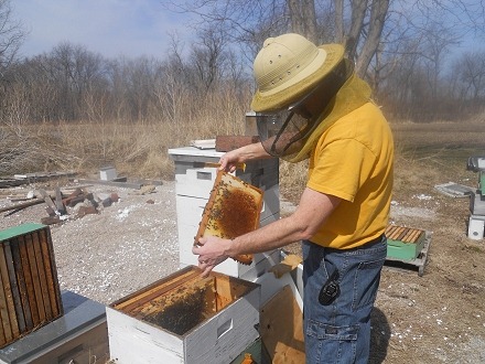 [Overwintered hive 2011[2].jpg]