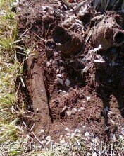 [hidden cedar bed[3].jpg]