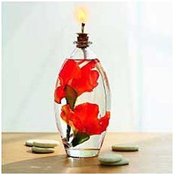 [gladiolus oil lamp[2].jpg]