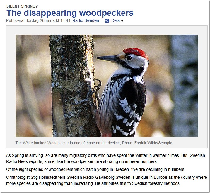woodpecker SR-001
