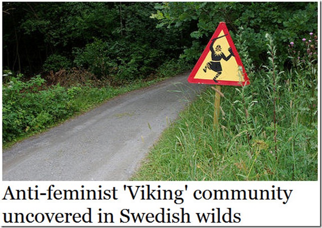 anti-fem vikings