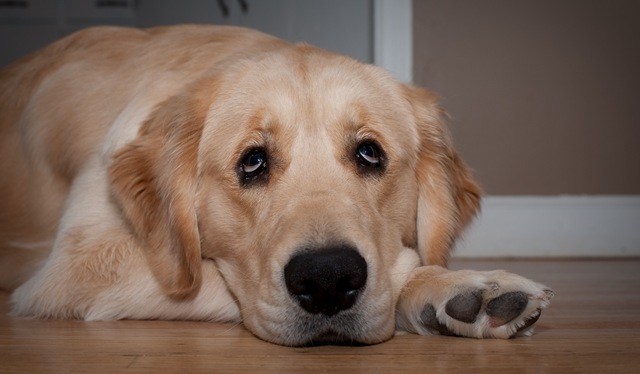 [20090227-DSC_0101-Edit[13].jpg]