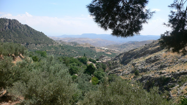 sierra