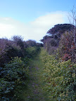 The Main Road