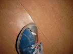 Quality Shoe