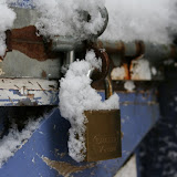 Snow10 (4)