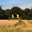 Harvest