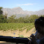 Another highlight was the Moreson winery in Franschhoek--the best Pinotage I tried in S.A.