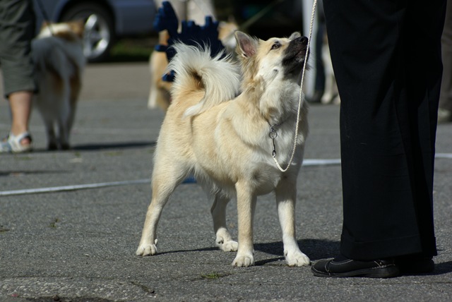 [DSC02992[2].jpg]