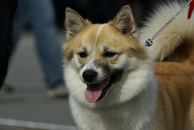 [DSC03271[2].jpg]