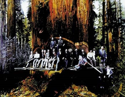[cover0912-loggers[4].jpg]