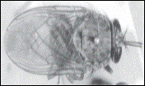 [clip_image009[6].gif]