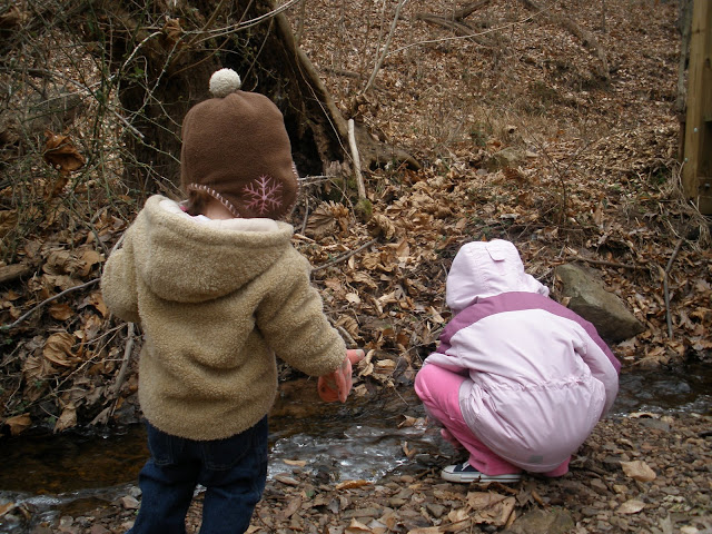 Looking at a small branch to a stream.