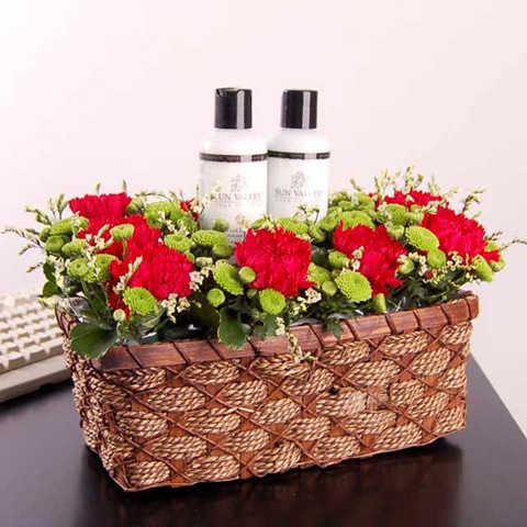 [how_pampered_IV565_enlarge[2].jpg]