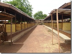 Market7