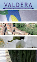 La guida in italiano